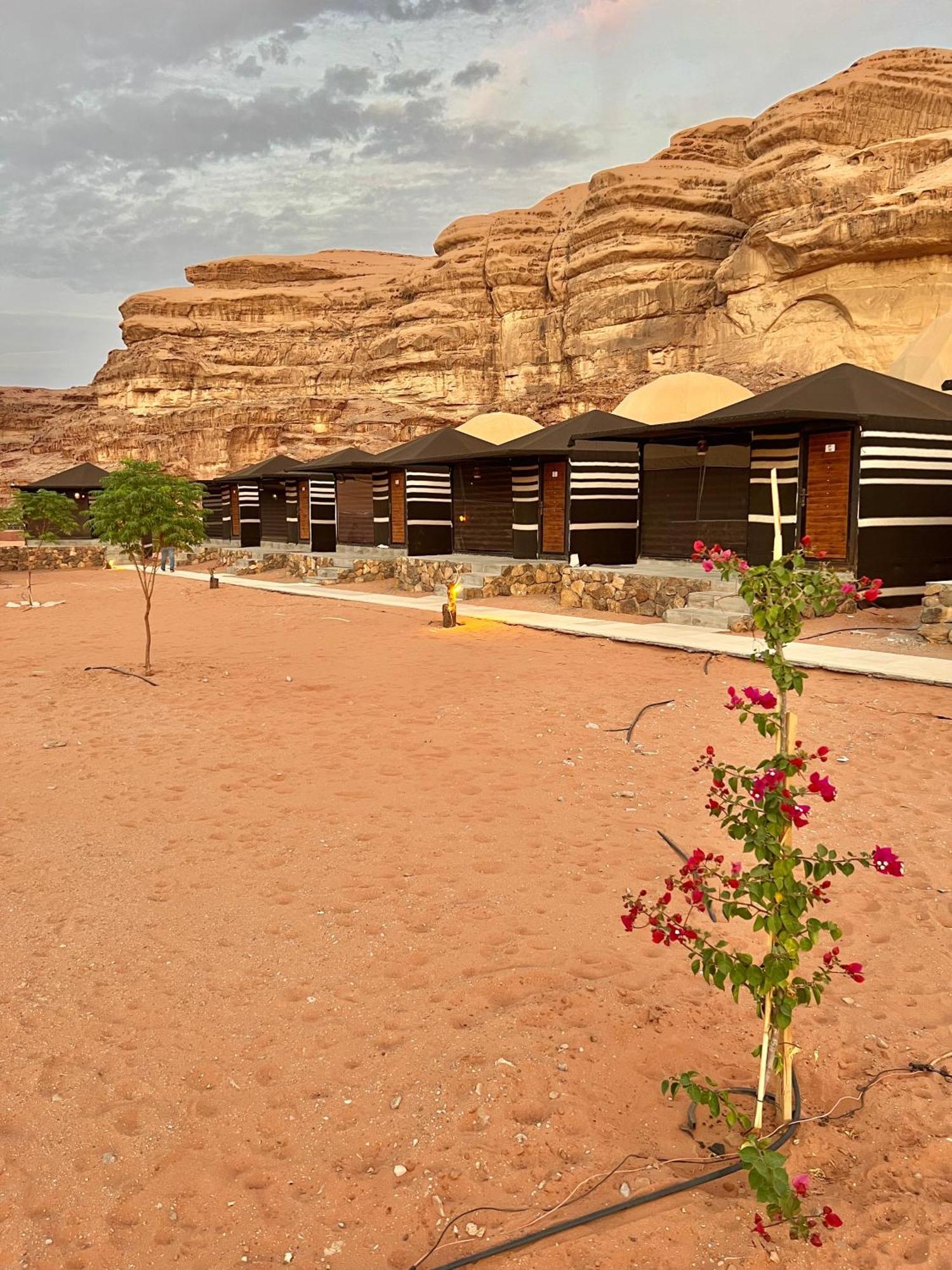 Revan Rum Luxury Camp Wadi Rum Exterior foto